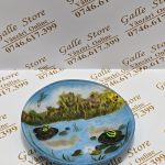 Farfurie tip Galle